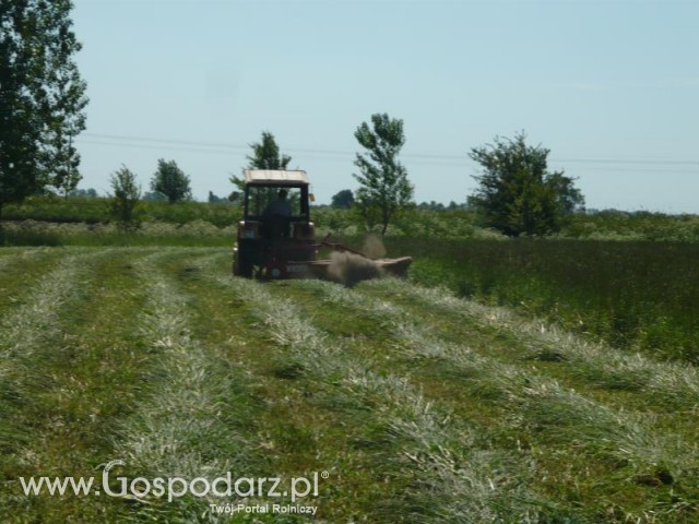 Ursus c330 i kosiarka rotacyjna - Ale zadyma;p