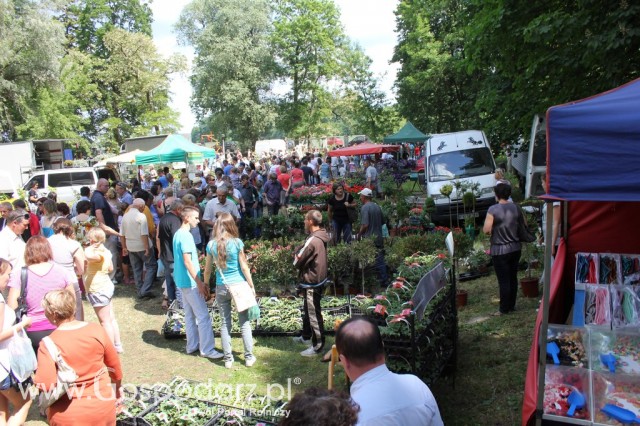 XXII Targi Rolniczo-Ogrodnicze Kościerzyn 2012 - 115