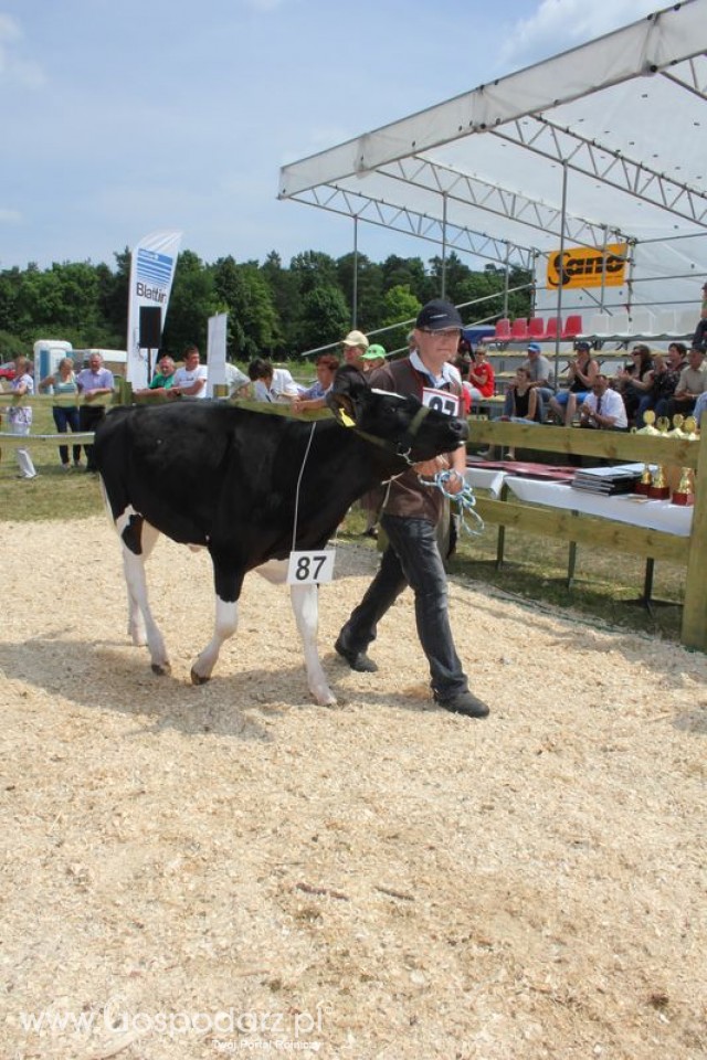 Nagordy dla superchampionów i championów  - 58