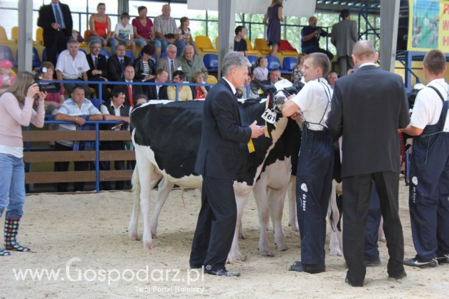 Bydło - Szepietowo 2012 XIX Regionalna Wystawa Zwierząt Hodowlanych - 66