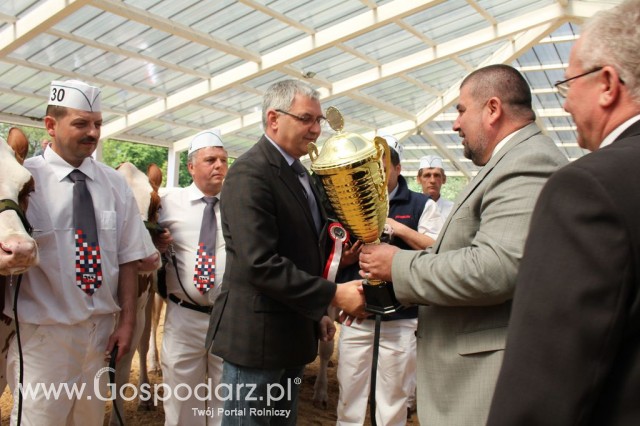 VII Ogólnopolska Wystawa Bydła Hodowlanego - 42