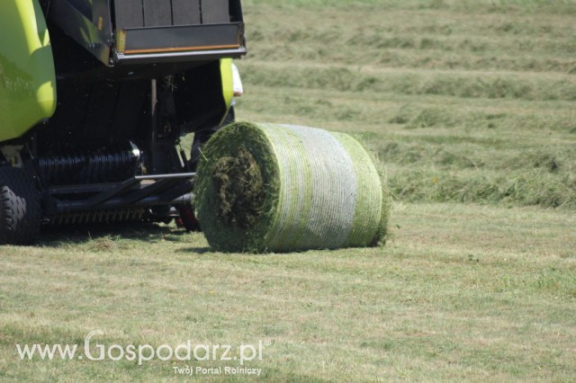 Pokaz maszyn zielonkowych - Opolagra 2012 - 50