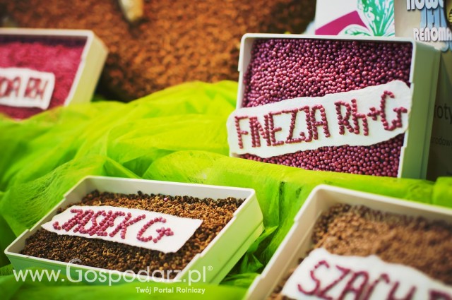 Polagra Premiery 2012 - 50