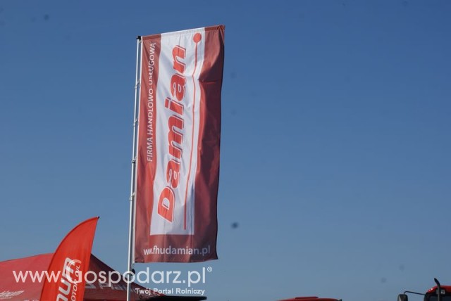 Zdj. - 163 - FHU DAMIAN