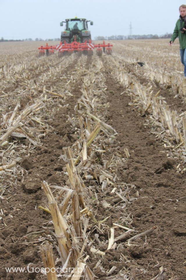 Kultywator STRIGER do uprawy pasowej - 13