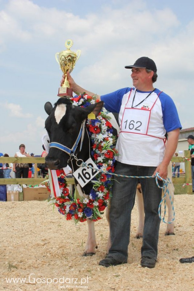 Nagordy dla superchampionów i championów  - 1