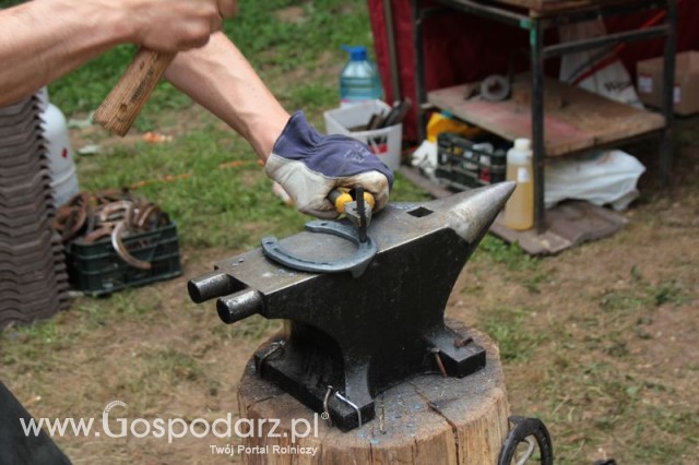 XX Targi Rolnicze Lubniewice