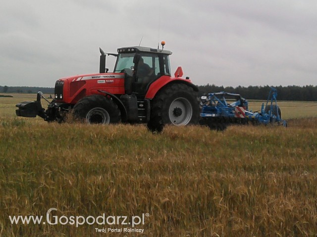 MF 8480 z talerzówką lemken 4.5m 