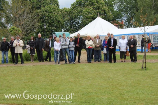 Otwarcie Pierwszych Dni Indyka w Koźminku