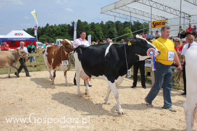 Nagordy dla superchampionów i championów  - 15