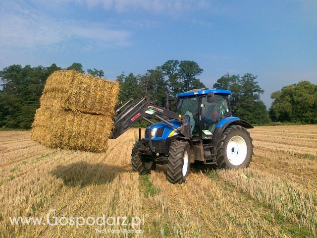 NEW HOLLAND T6010