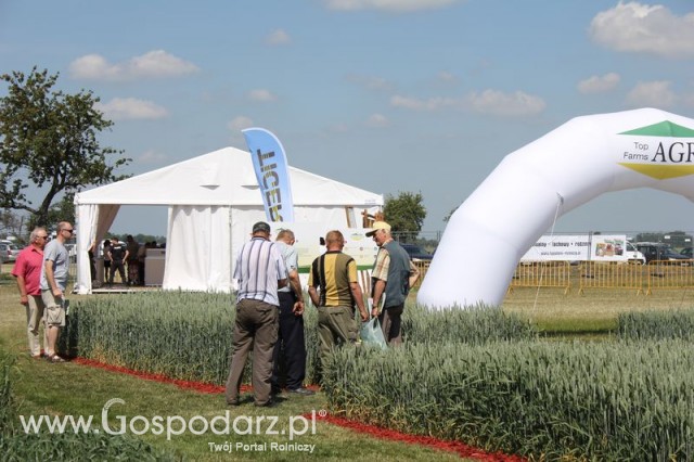 Polskie Zboża 2011 - Sobota