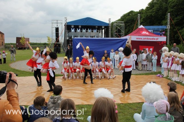 Występy artystyczne odbywające się podczas Dni Indyka
