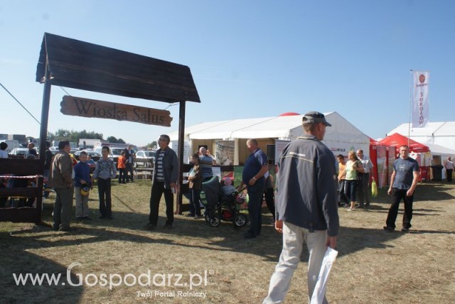 Zdj. - 451 - Zakłady Mięsne Salus Sp. z o.o.