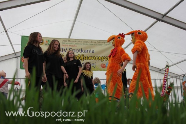 Fotoreportaż z XIV Spotkań Tradycji Wielkanocnych Ziemi Kłodzkiej