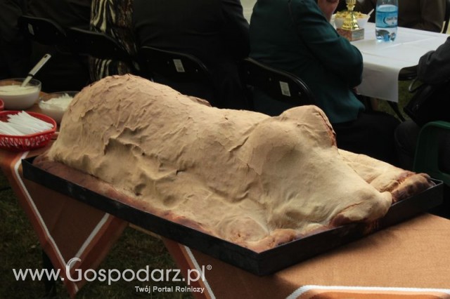 XX Targi Rolnicze Lubniewice