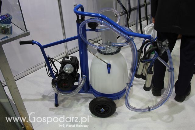 Fotoreportaż  z XI Międzynarodowych Targów Fermy Bydła