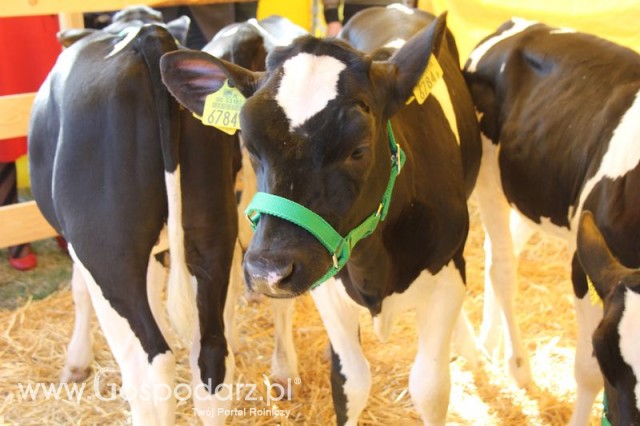 Foto reportaż z Targów Rolno-Ogrodnicze AGROMARSZ Marszew 2011