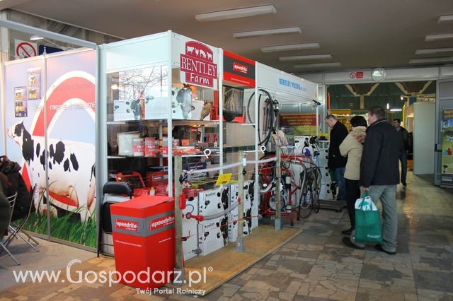 Fotoreportaż  z XI Międzynarodowych Targów Fermy Bydła