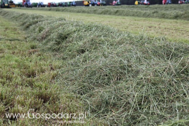 Pokazy Maszyn Polskie Zboża Zielone Agroshow 2012  - 25