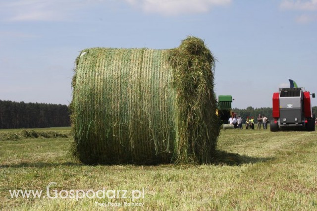 Prasa zwijająca Unia Famarol DF 1,7 zd