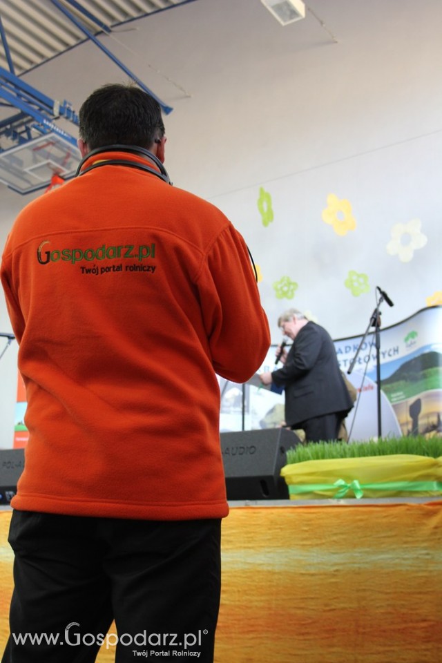 XV Spotkania Tradycji Wielkanocnych Ziemi Kłodzkiej - 115