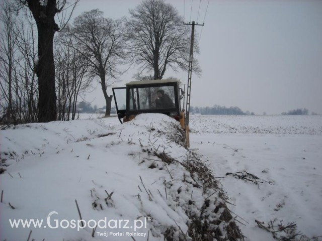 Ursus c330 M na tle balotów