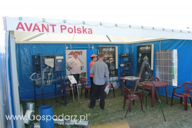 Polskie Zboża 2011 - Avant