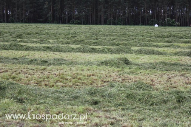 Pokazy Maszyn Polskie Zboża Zielone Agroshow 2012  - 24
