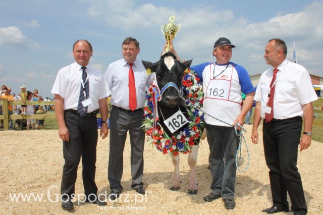 Nagordy dla superchampionów i championów  - 2