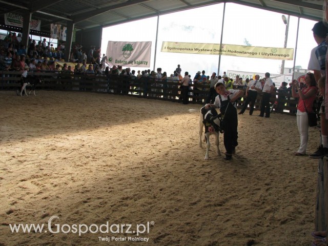 Młody Hodowca - Szepietowo 2012 - 15