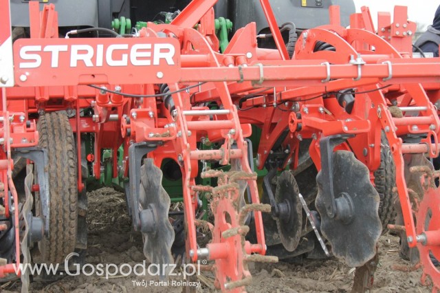 Kultywator STRIGER do uprawy pasowej - 21