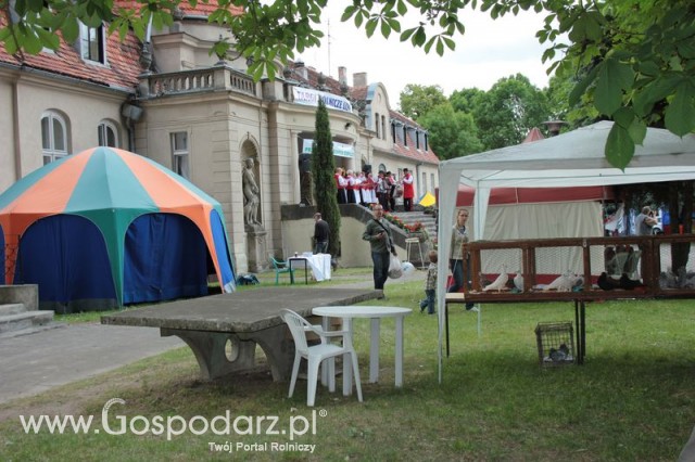 XX Targi Rolnicze Lubniewice 