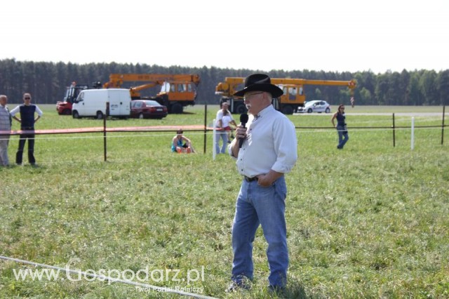 Wypas bydła zdjęcie nr 15