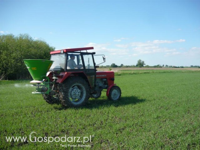 Wiosenny nawóz na jęczmień 