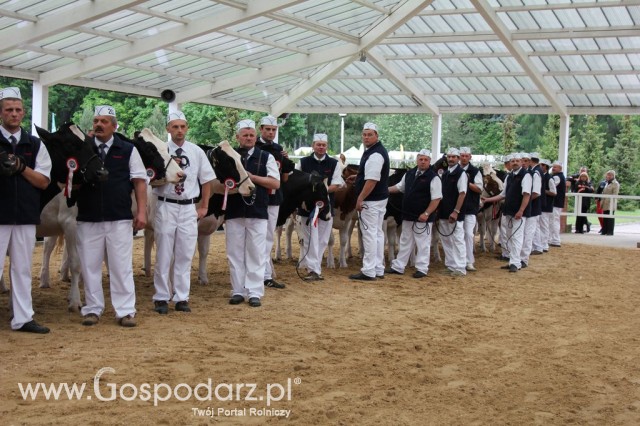 Prezentacja Championów na VII Ogólnopolskiej Wystawie Bydła Hodowlanego w Sielinku 2012 - 10