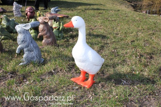 Foto reportaż z Targów Rolno-Ogrodnicze AGROMARSZ Marszew 2011