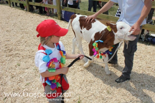 Konkurs Młodego Hodowcy - 10