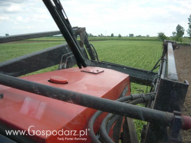 Orka 2011 Ursusem 1014 po Żniwach rzepakowych 