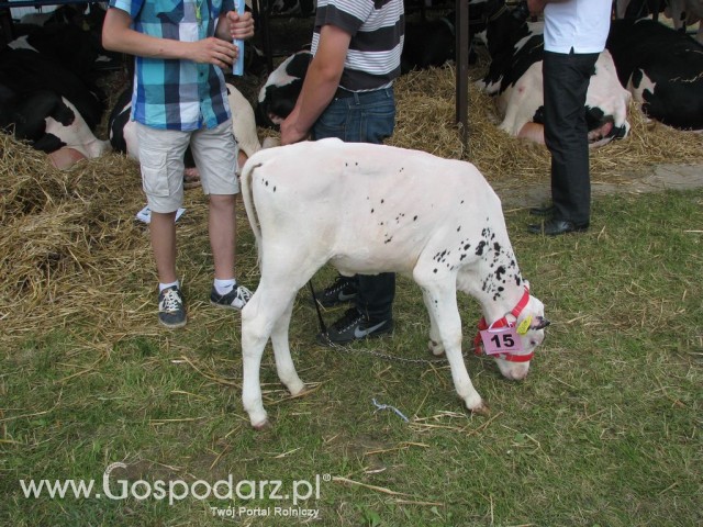 Młody Hodowca - Szepietowo 2012 - 3