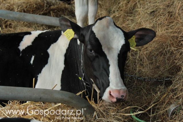 XX Targi Rolnicze Lubniewice