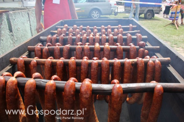 Festiwal Wieprzowiny w Bełżycach - 36