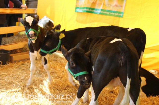 Foto reportaż z Targów Rolno-Ogrodnicze AGROMARSZ Marszew 2011