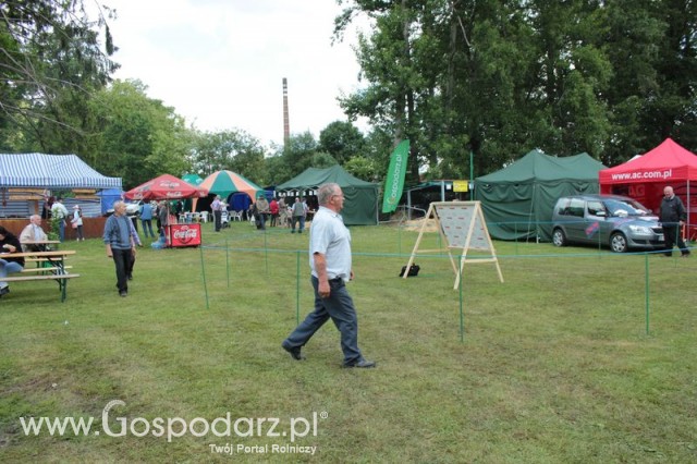 XX Targi Rolnicze Lubniewice