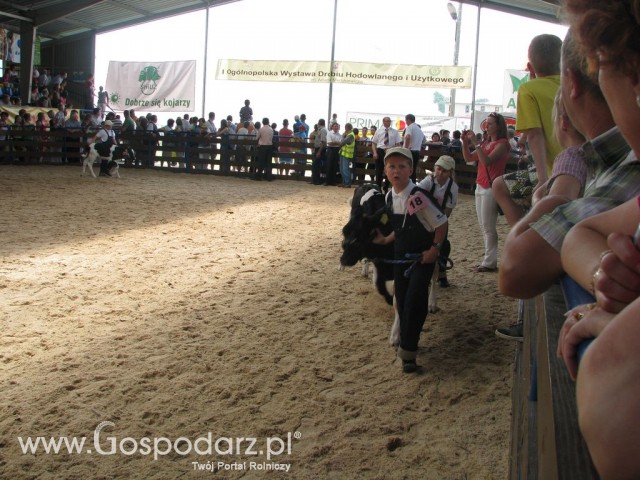 Młody Hodowca - Szepietowo 2012 - 13