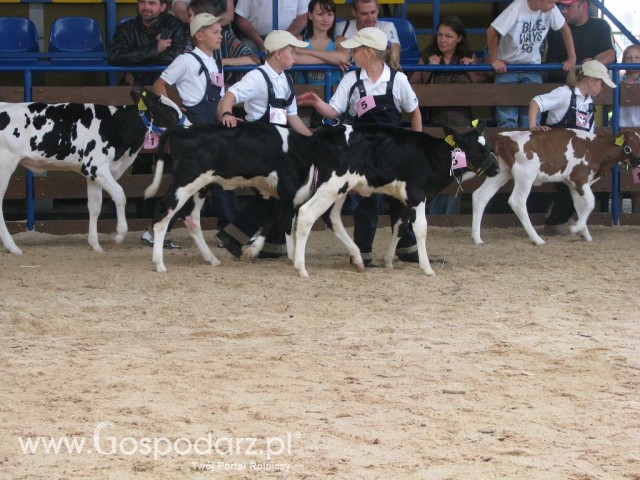 Młody Hodowca - Szepietowo 2012 - 16