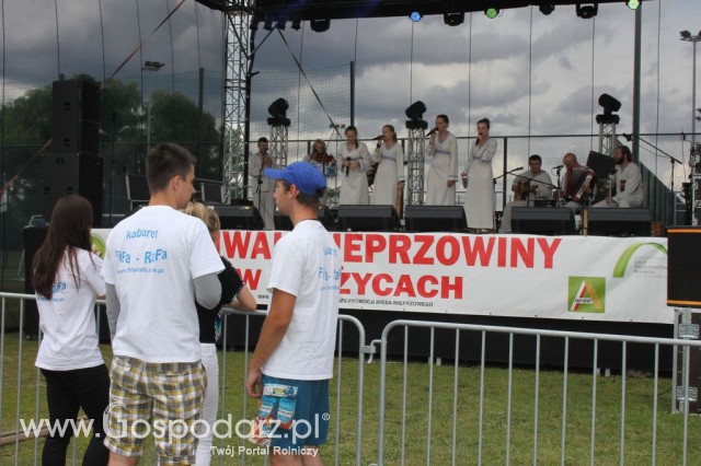 Festiwal Wieprzowiny w Bełżycach - 43