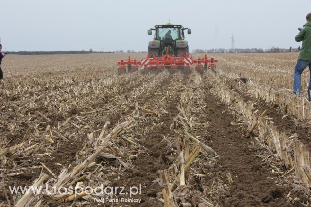 Kultywator STRIGER do uprawy pasowej - 12