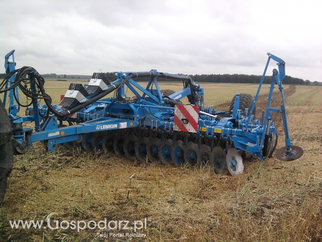 Talerzowanie po rzepaku lemken 4,5m 
