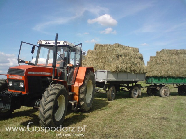 Akcja  sianokosy 2010 z babi00111